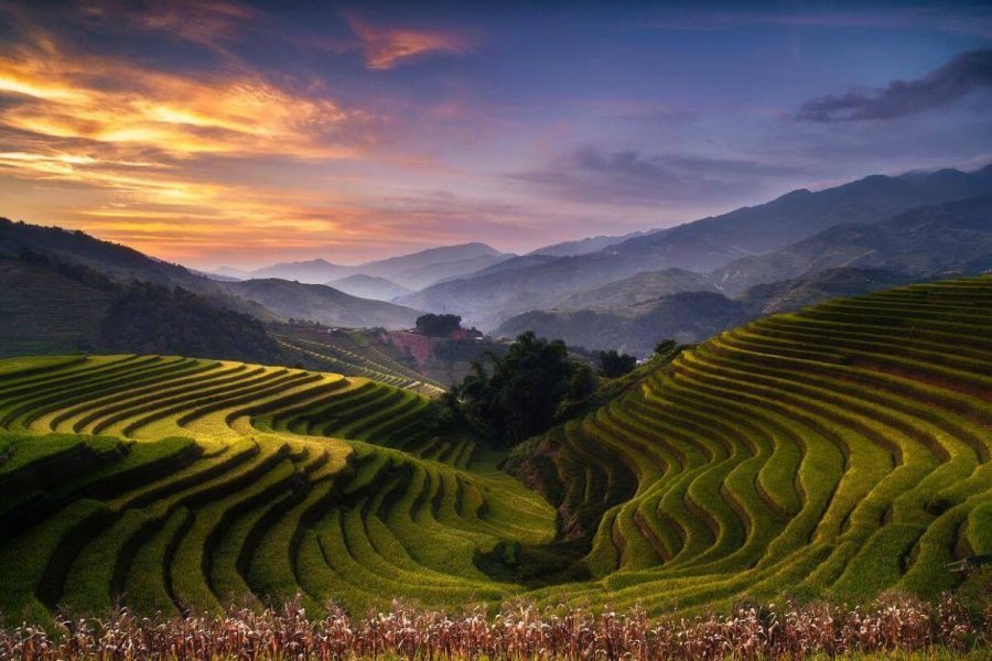 Thung Lũng Tú Lệ